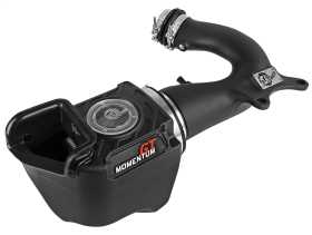 Momentum GT Pro DRY S Air Intake System 50-70001D